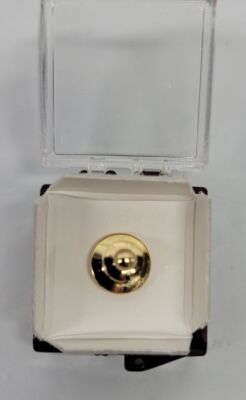 RARE OLD Disney pin Cast Member Service Award 35 Year Anniversary