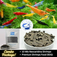 ShrimpLive Combo 10 Mix Color Shrimps  Premium Shrimps Food 50g Live Guarantee