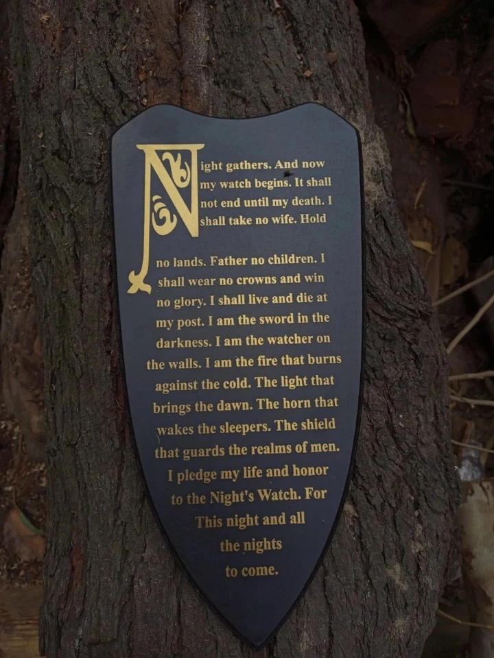 Juego de Tronos DAMASCO Espada Garra Larga Jon Nieve Réplica Coleccionable Foto 4 de 4