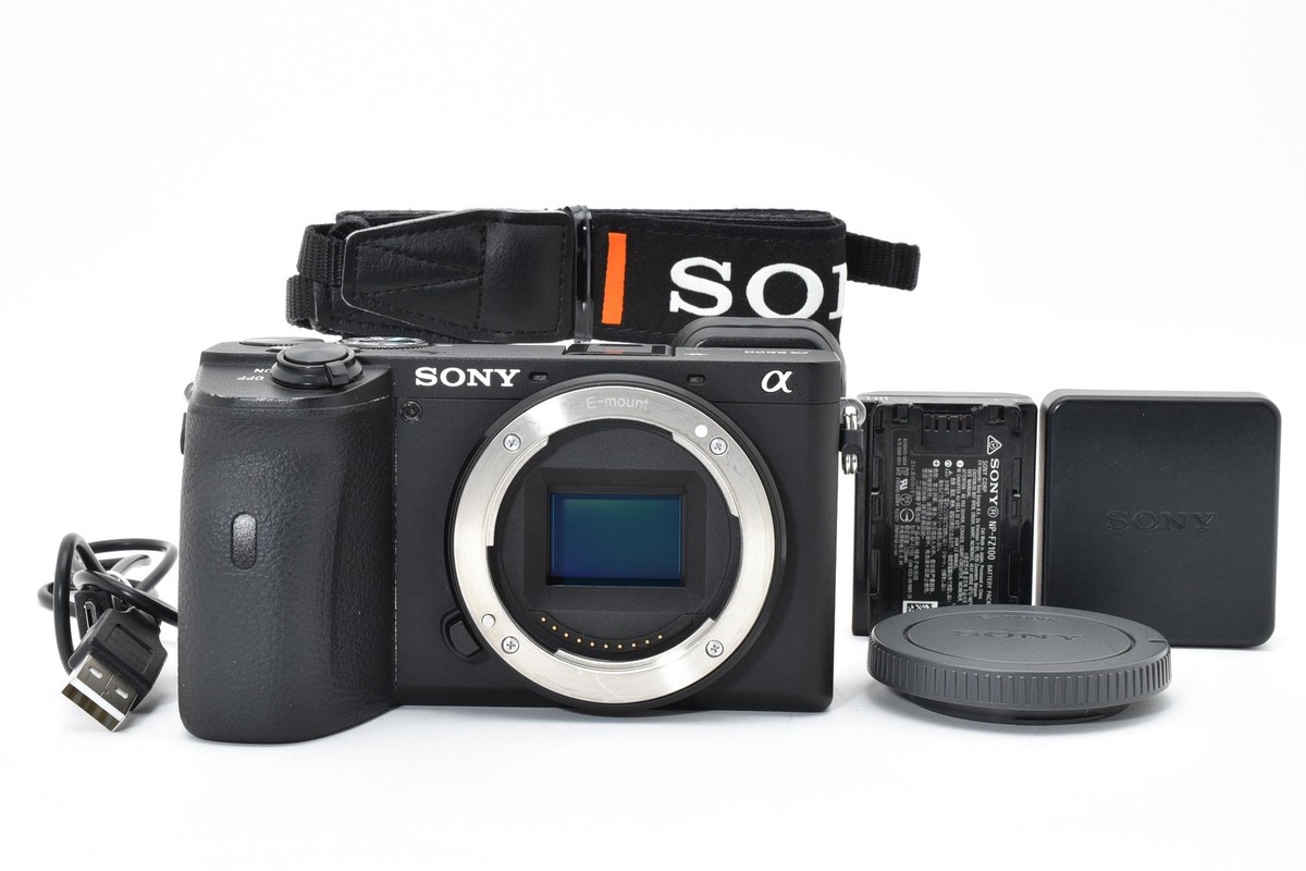 SONY a6600 ILCE-6600 Body Black English OK [Exc+++] #2783790A | eBay