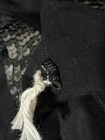 Foto 4 di 12