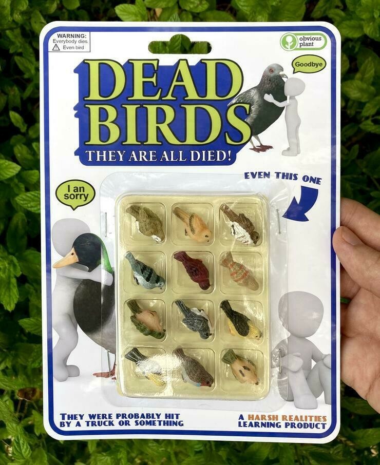 Dead birds Satire Joke Toy Obvious plant Rare