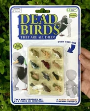 Dead birds Satire Joke Toy Obvious plant Rare