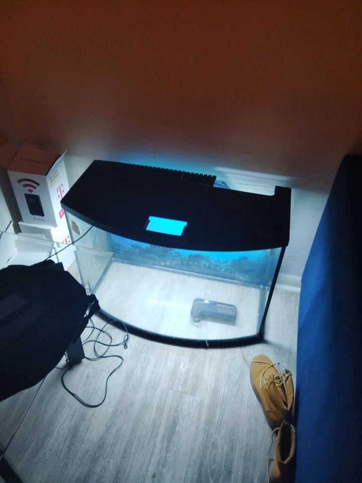  Tengo este y comida para peces y una bomba de agua quieren 250to300 para ambos  Foto 2 de 3