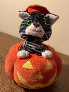 pumpkin cat toy