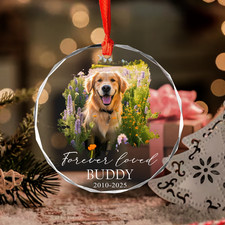 Pet Ornaments For Christmas Tree, Dog Memorial Ornament, Pet Ornament