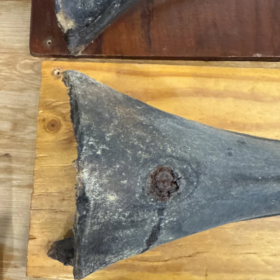 VELA PEZ AZUL MARLÍN BILLETE/NARIZ/PICO/LANZA PLACA DE TAXIDERMIA MONTADA Y MINI Lote Foto 4 de 4