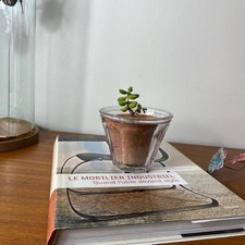 Pot à confiture ancien en verre de forme conique avec facettes  ACC-7571