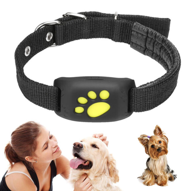 Pet GPS Tracker Collar Dog Cat Finder GSM AntiLost Locator Smart Waterproof 2023
