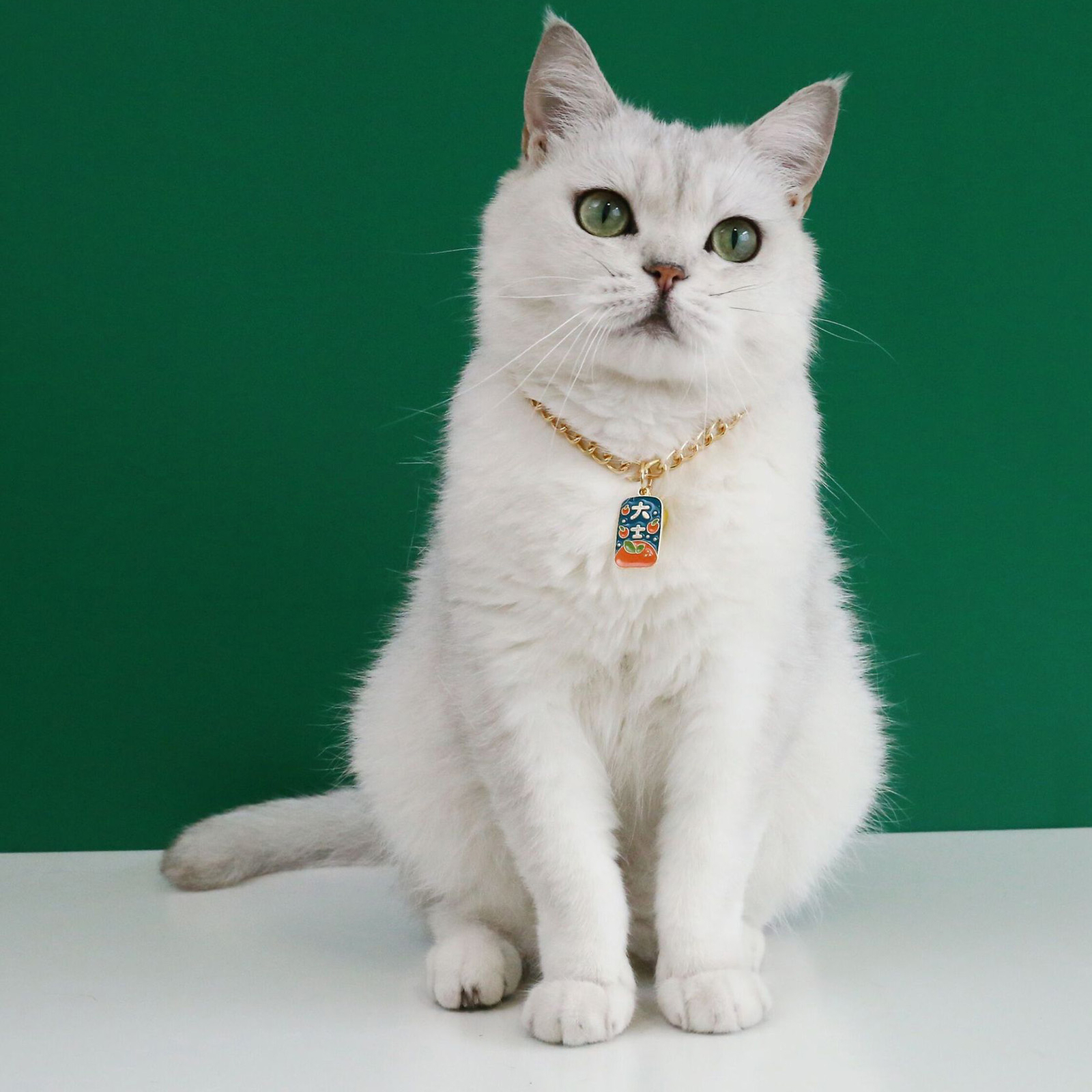 Cat Collar Allergy Free Adjustable Cartoon Pendant Style Pet Cat Neck