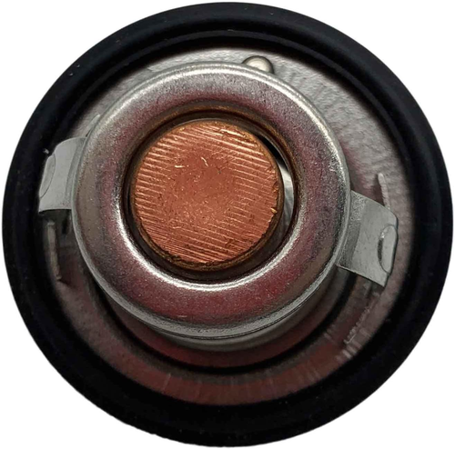 FT1313TM106JG Thermostat, for Yamaha Grizzly 660, YFM660, 2002-2008, Parts - Picture 7 of 12