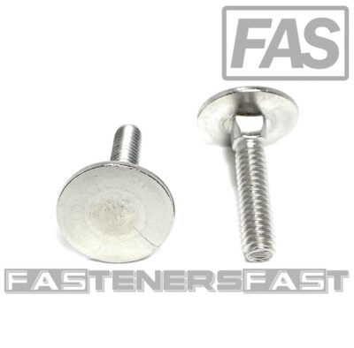 (10) 1/4-20x1-1/4 Stainless Steel Elevator Bolt Square Neck (7/8 Dia. Head) 18-8