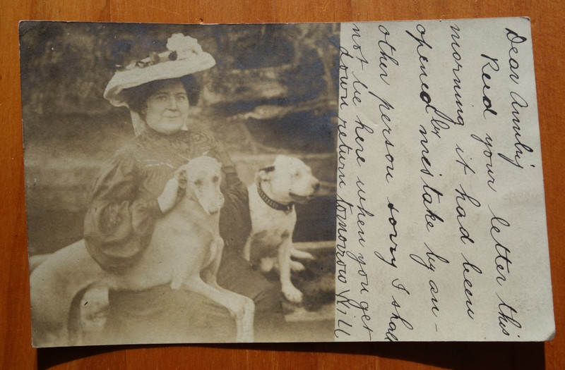 2 dogs show off their owner and her big hat real photo postcard p/u 1908 AC NJ