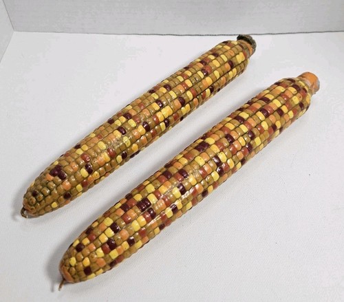 Textured Candle Set Harvest Faux Corn Cob Thanksgiving Replacement READ
