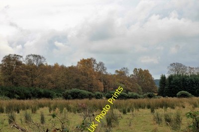 Foto 6x4 Trommel Feuchtgebiet Kohleford Rausch gefüllt Grasland bei Trommel bei Beatti c2016