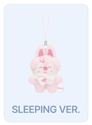 ON HAND! Stray Kids STAY in Our Little House SKZOO SECRET PLUSH