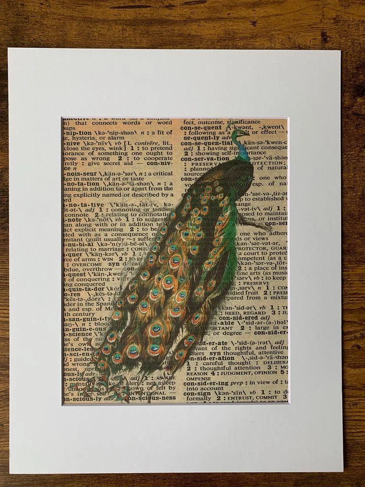 Set of 2 Dictionary Styled Matted Peacock Prints, Parchment Art