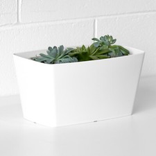 White Rectangular Outdoor Garden Plant Pot Cover Planter Herb Windowsill Box
