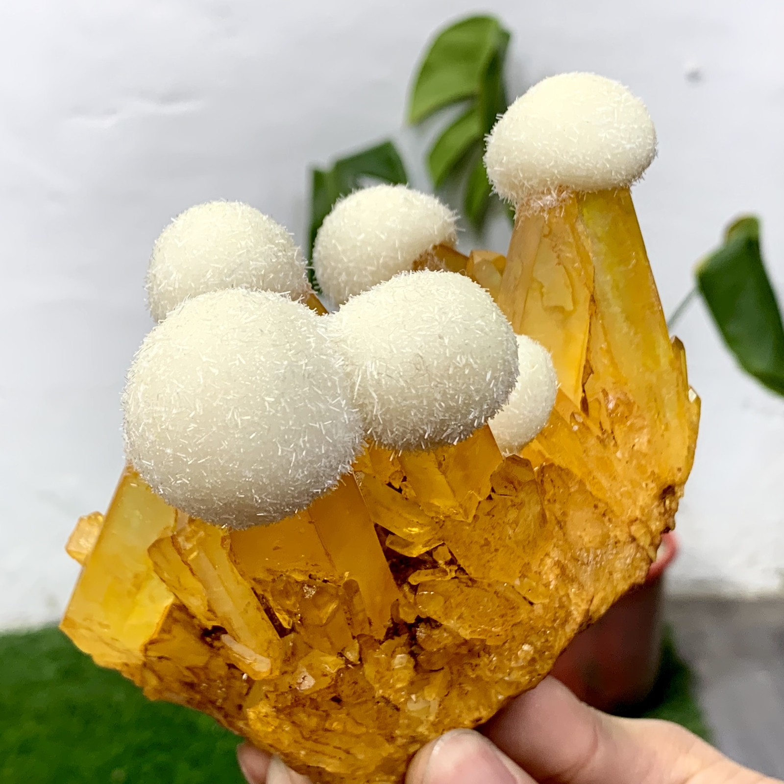 1.43LB Natural Citrine Calcite Crystal Quartz Energy Ore Cluster Healing Mineral