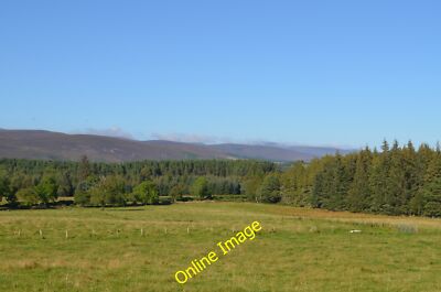 Photo 6x4 Fields at Uppat in Sutherland  c2014