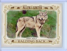 2021 Topps Allen & Ginter Rallying Back Insert - Gray Wolf - RB-1
