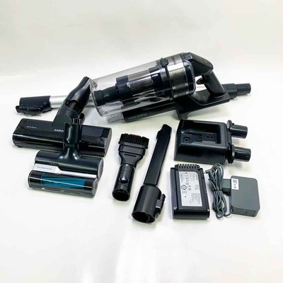Samsung Jet 60 (VS15A6032R5) pet Stielstaubsauger, Silber/schwarz