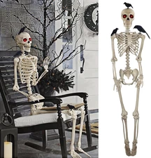 DR.DUDU 5Ft Skeleton Life Size Halloween Decor with 3 Pcs Crows, Large Posable S