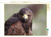 Calvendo Puzzle Desert Buzzard | 1000 Pieces, Finished Size 25.2 × 18.9 In (64 ×