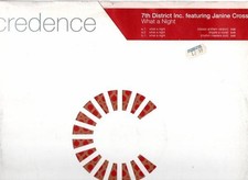 7th District Inc. Featuring Janine Cross - What A Night (12")