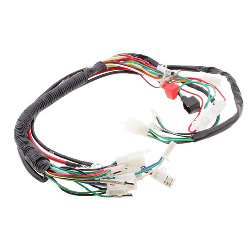 FULL DC YX 150CC Kick Electric Start Engine Wiring Harness Loom PIT Dirt Bike E - Foto 4