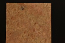 Elm Burl Wood Veneer Sheet 7 x 9.5 inches 1/42nd 1995-90