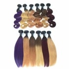 12A BRAZILIAN VIRGIN HUMAN HAIR MULTI-COLOR 2TONE/3TONE OMBRE HAIR STRAIGHT 100g