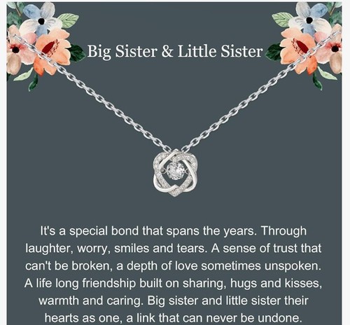 For My Sister Necklace , Sterling Silver 2 Hearts Intertwined Gift For Sister - 第 1/7 張圖片
