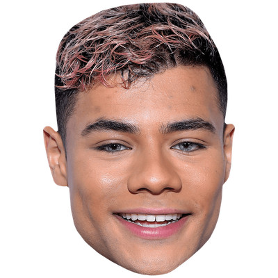 Rami Zein (rosa Haare) Promi Maske, flaches Kartengesicht, Kostüm Maske