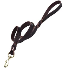 COASTAL PET 3814-1 Coastal Latigo Leather Twist Dog Leash with Solid Brass 1 in