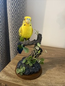 Talking Parrot Budgerigar Bird Figure Decorative Novelty Toy Repeats You!