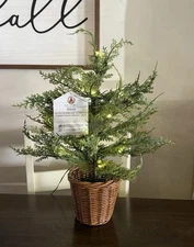 My Texas House 24” Pre-Lit Cypress Pot Artificial Christmas Tree 2 Foot NEW