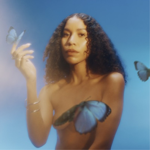 Альбом Charlotte Dos Santos Morfo (винил), 12 альбомов (в обложке) (ИМПОРТ из Великобритании)