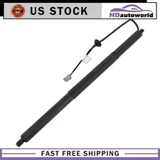 Rear Liftgate Lift Support Gas Prop Strut Shock Fit for Tesla Model S D1701