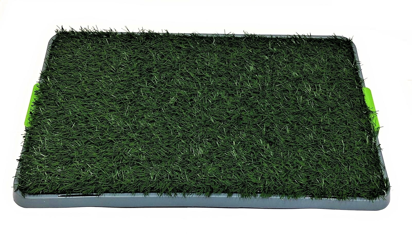 Foto 4 di 4