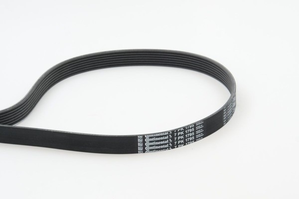 NEU - Continental Ctam 7PK1795 Keilrippenriemen Passend FüR Nissan Opel-image