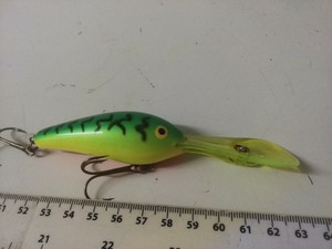 rapala sea bass lures