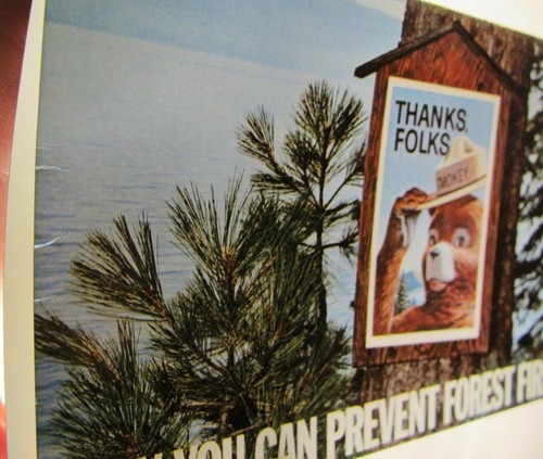 1967 Antique Vintage Smokey Bear Post Card USDA Forest Service Fire Prevention - Picture 5 of 5