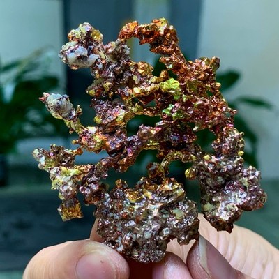 62G Rare!! iridescent Native Copper crystal mineral specimen