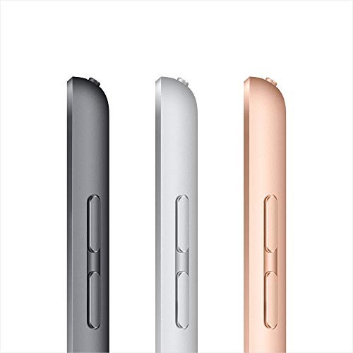 Apple iPad (8th Generation) A2270 128 GB, Wi-Fi + 4G, 10.2 in