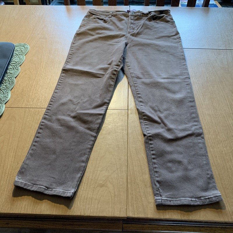 GLORIA VANDERBILT DENIM JEANS SIZE 16P STONEWASHED BROWN AMANDA MODEL NEW SAMPLE