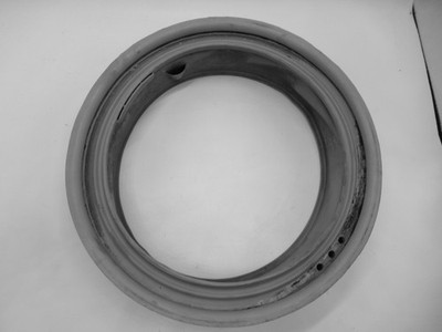 Door Seal Bosch WBM40 WAE28193, BOSCH MAXX WFO2880 NR 5500000266
