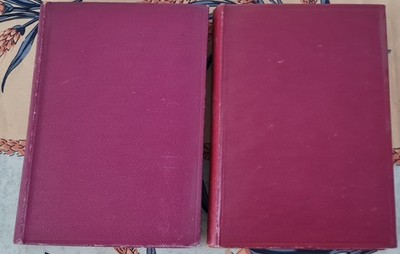Konvolut 2 Bücher Pierre Loti - Roman eines Kindes + mein Bruder Yves - Calmann-Lévy