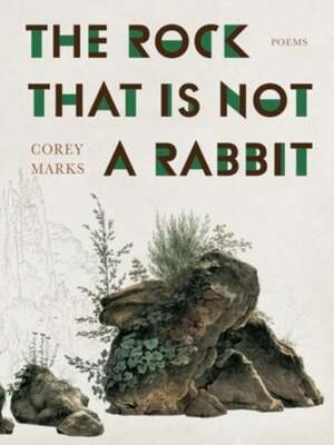 The Rock That Is Not a Rabbit: Poems by Corey Marks: Used