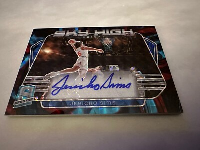 2023 Spectra Sky High Signatures Prizm Jericho Sims # /75 Knicks